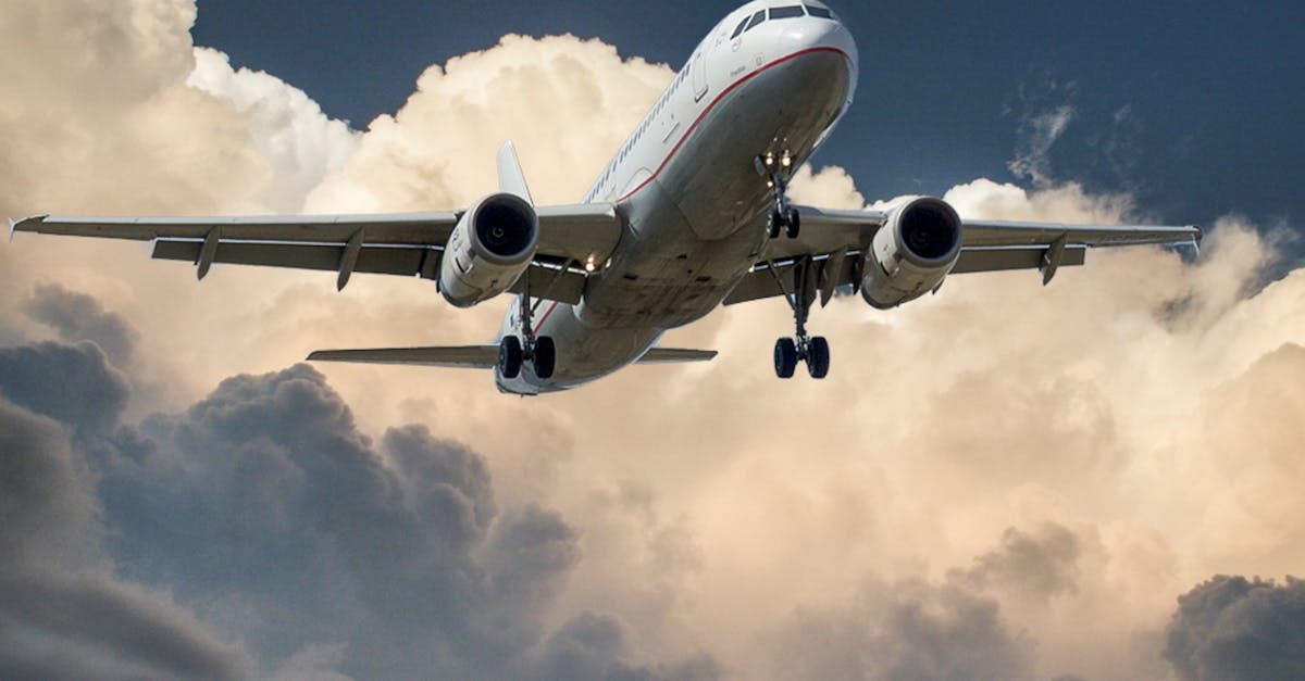 découvrez le monde fascinant des pilotes de ligne, des professionnels qui assurent la sécurité et le confort des passagers tout en naviguant à travers les cieux. apprenez-en plus sur la formation, les défis et la vie quotidienne de ces experts du vol.