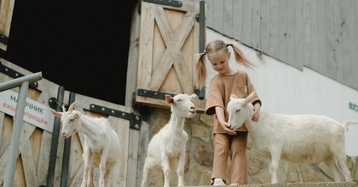 découvrez nos conseils et services professionnels pour le bien-être de vos animaux. animal care vous accompagne dans l'éducation, la santé et le bonheur de vos compagnons. offrez-leur la meilleure qualité de vie !