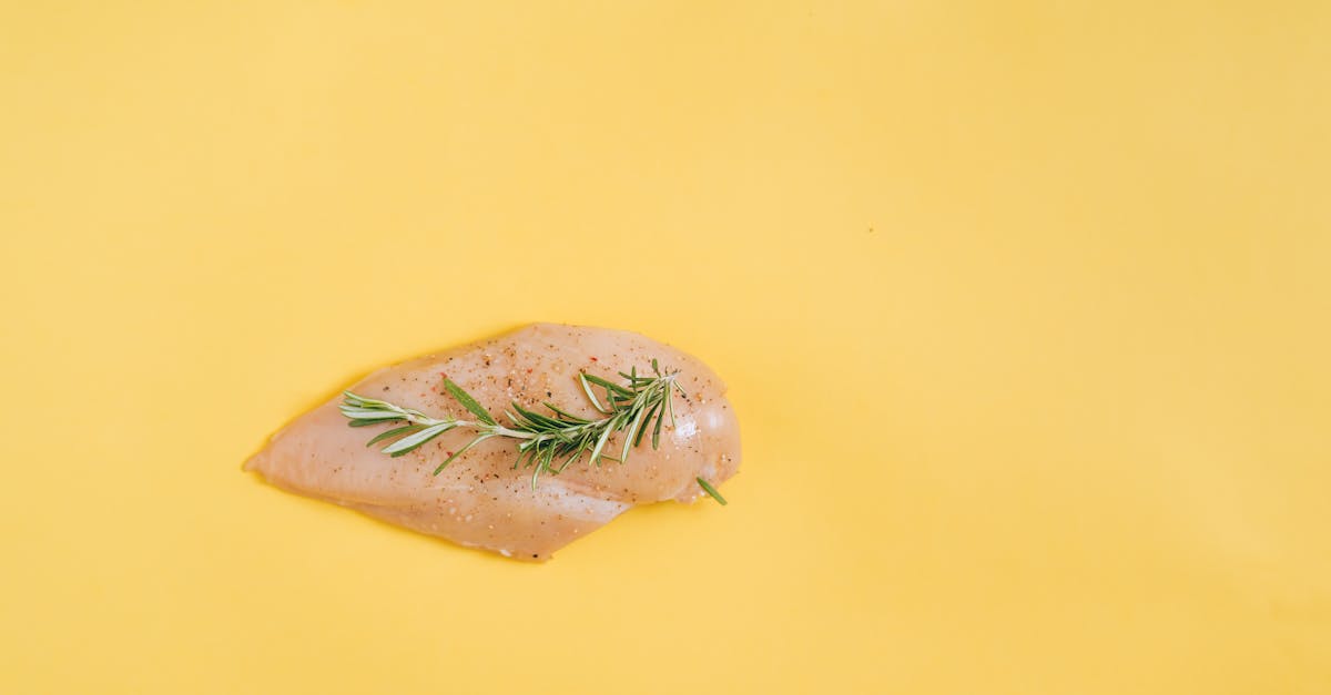découvrez l'art de la boucherie avec notre guide expert. apprenez les différentes techniques de découpe, choisissez des viandes de qualité et explorez des recettes savoureuses pour sublimer vos plats.