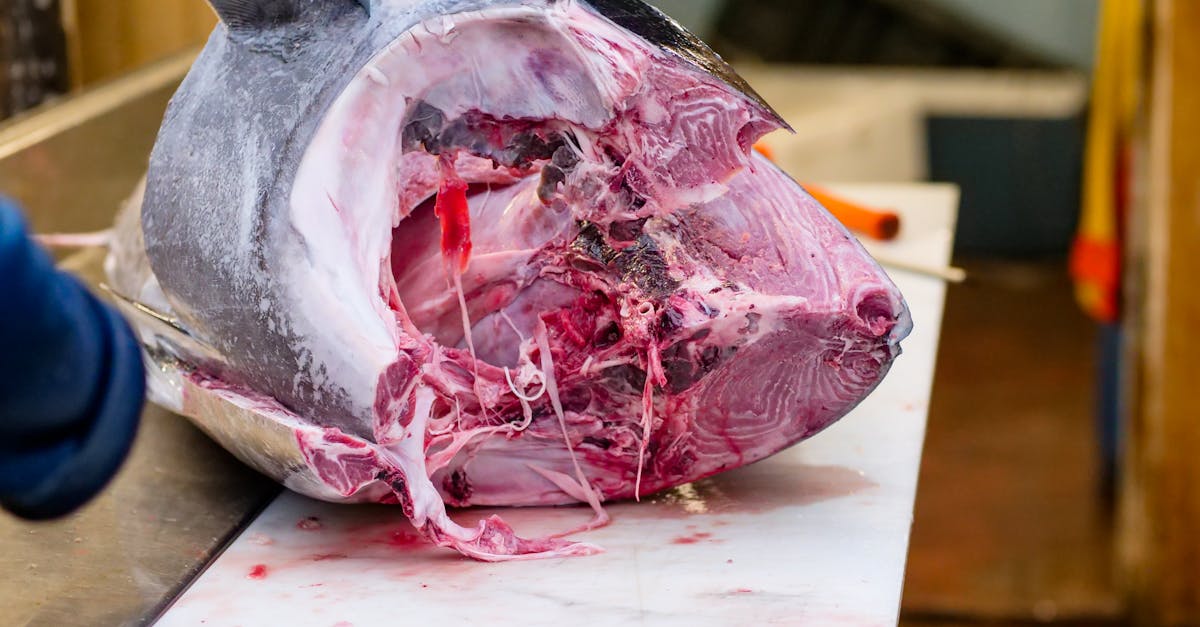 découvrez l'art du métier de boucher à travers des coupes de viande de qualité, des conseils en cuisson et des recettes succulentes pour ravir vos papilles.