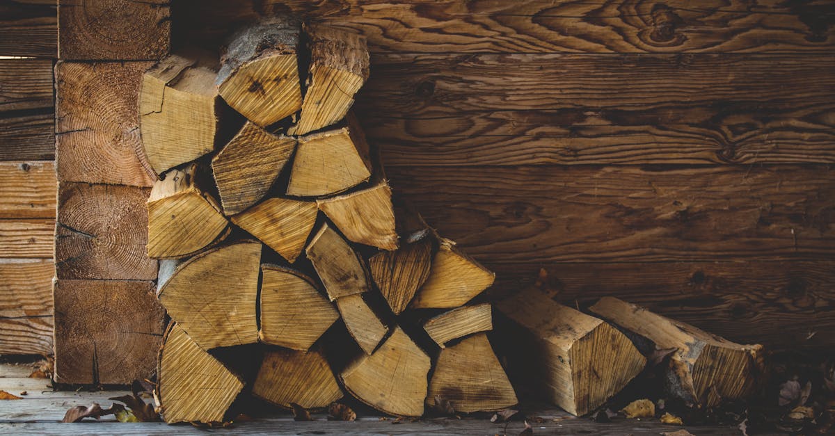 découvrez l'art de la menuiserie à travers nos conseils et astuces pour créer des projets en bois uniques et durables. que vous soyez débutant ou expert, apprenez les techniques essentielles et laissez libre cours à votre créativité.