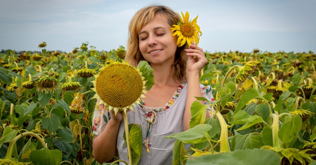 découvrez l'importance de l'honnêteté dans nos vies quotidiennes. apprenez comment cette valeur fondamentale renforce les relations, favorise la confiance et crée un environnement positif. explorez des astuces pour cultiver l'honnêteté et son impact sur votre bien-être personnel.
