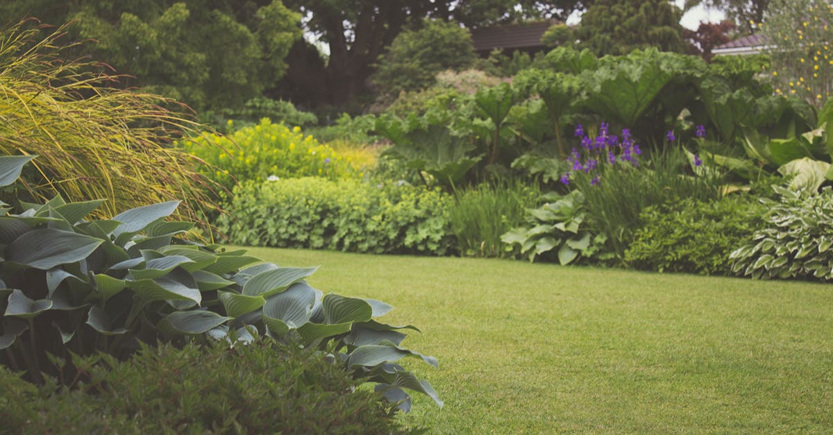 découvrez l'art du landscaping pour transformer votre jardin en un espace de verdure et de beauté. apprenez des astuces de professionnels pour créer des aménagements paysagers harmonieux et durables, adaptés à votre style de vie et aux spécificités de votre terrain.