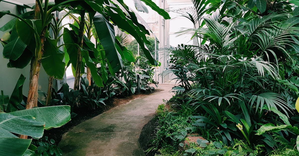découvrez des services de paysagisme professionnels pour transformer votre espace extérieur en un véritable havre de paix. que ce soit pour l'aménagement de jardins, l'entretien d'espaces verts ou la création de terrasses, nos experts sont à votre écoute pour réaliser vos projets selon vos envies.