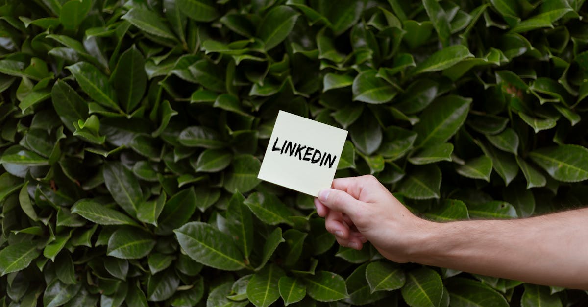 découvrez linkedin, le réseau professionnel incontournable pour développer vos connexions, partager vos compétences et rechercher des opportunités de carrière. rejoignez des millions de professionnels et boostez votre profil dès aujourd'hui !