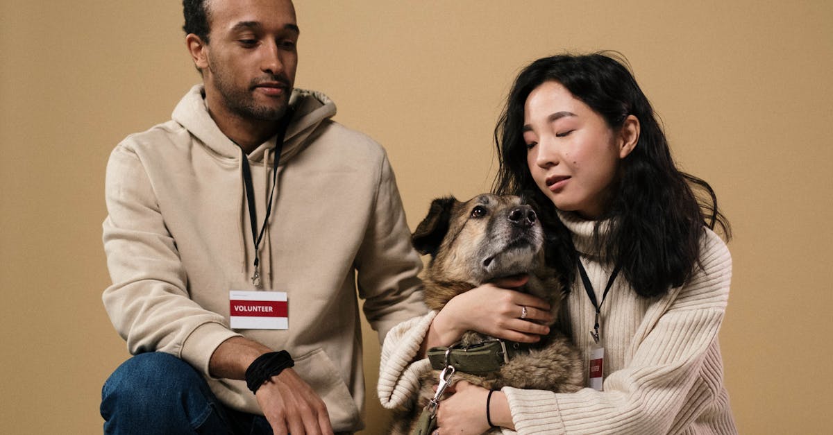 découvrez notre refuge pour animaux, un lieu sûr et aimant où les animaux abandonnés attendent une nouvelle famille. adoptez un compagnon pour la vie et faites une différence dès aujourd'hui.