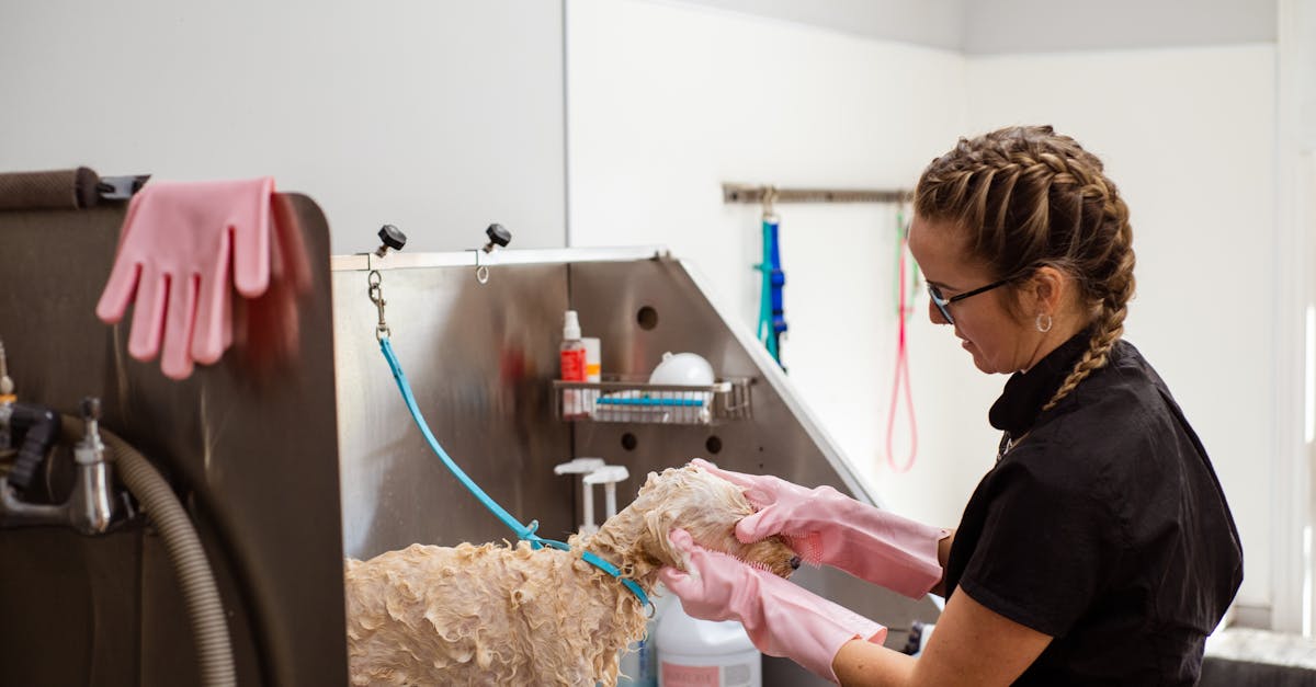 découvrez nos services de nettoyage professionnel pour un environnement impeccable. notre équipe expérimentée utilise des techniques et des produits efficaces pour assurer une propreté durable dans vos espaces. contactez-nous pour un devis personnalisé!