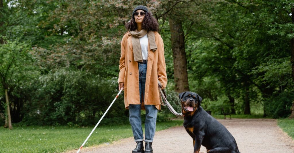 découvrez le métier de dog handler, spécialiste de la formation et du comportement canin. apprenez les techniques essentielles pour éduquer les chiens et renforcer la complicité entre l'homme et l'animal. que vous soyez professionnel ou passionné, enrichissez vos connaissances sur cette profession gratifiante.