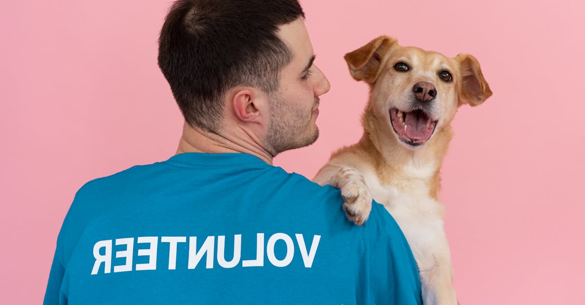 découvrez le rôle essentiel du dog handler, un professionnel spécialisé dans la gestion et l'éducation des chiens. apprenez comment ces experts établissent des liens solides avec les animaux pour garantir leur bien-être, leur obéissance et une socialisation réussie. explorez les compétences requises pour devenir un dog handler et l'impact positif qu'ils peuvent avoir sur la vie des chiens et de leurs propriétaires.