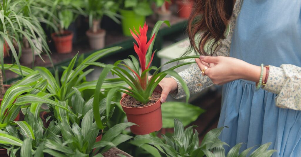 découvrez l'univers de l'horticulture : techniques de culture, conseils pour le jardinage, et astuces pour entretenir vos plantes. apprenez à créer un jardin florissant et durable grâce à nos ressources et conseils d'experts.