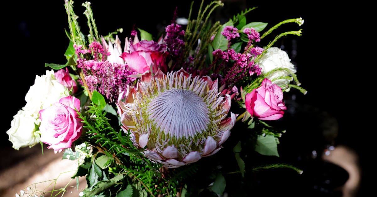 découvrez l'univers fascinant de l'horticulture : des conseils pratiques sur la culture des plantes, l'entretien des jardins et les techniques de jardinage pour tous les niveaux. apprenez à cultiver vos propres fleurs, fruits et légumes tout en respectant l'environnement.