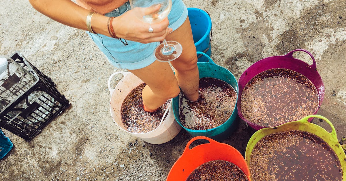découvrez l'œnologie, l'art et la science du vin, qui explore la viticulture, la vinification et la dégustation. apprenez à apprécier les nuances des grands crus et à maîtriser les techniques qui révèlent le meilleur de chaque bouteille.