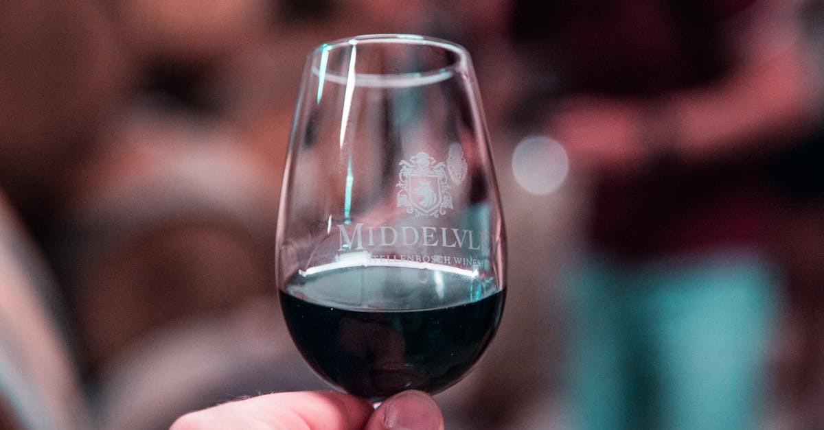 découvrez le monde fascinant de l'œnologie, l'art et la science de la vinification. explorez les techniques de dégustation, les cépages, et les accords mets-vins pour enrichir votre expérience vinicole.