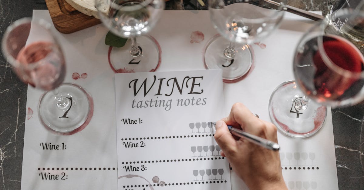 découvrez l'œnologie, l'art et la science du vin, explorant les techniques de vinification, les cépages et les accords mets-vins pour enrichir votre expérience gustative.