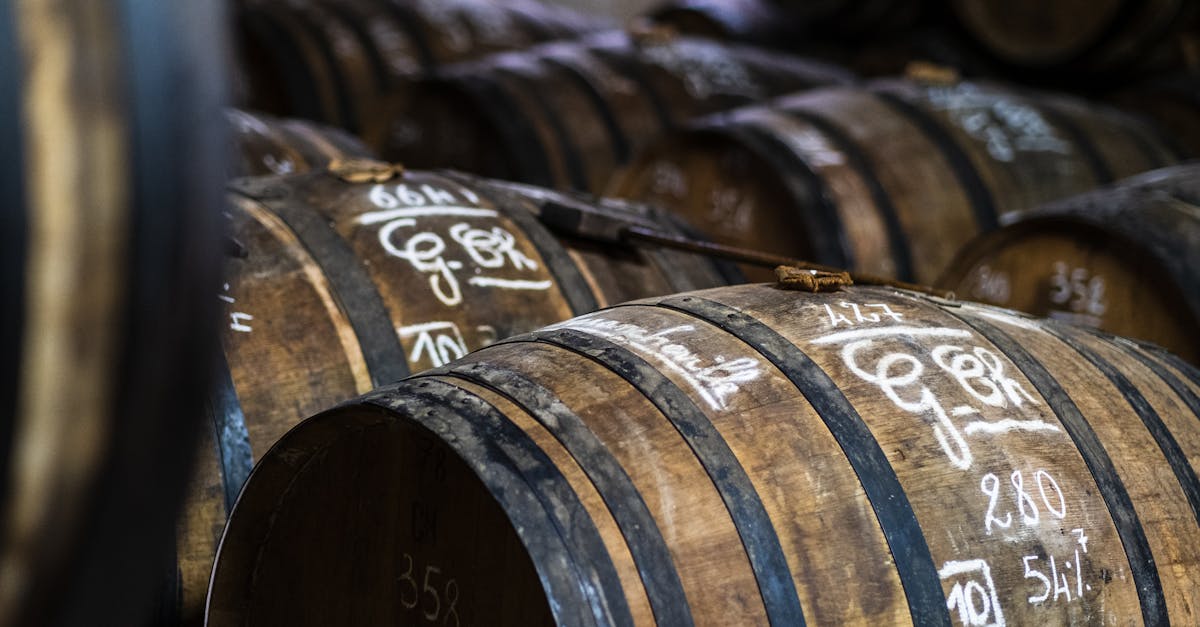 découvrez l'oenologie, l'art et la science de la vinification, qui vous plongera dans l'univers fascinant des cépages, des terroirs et des techniques de dégustation. apprenez à apprécier chaque gorgée et à maîtriser les secrets du vin.