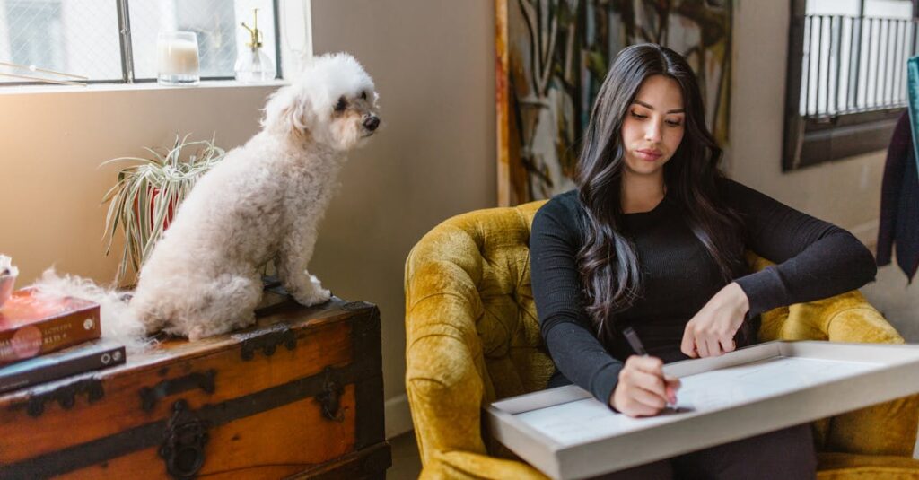 découvrez notre service de garde pour chiens, offrant un hébergement sécurisé et attentionné pour votre compagnon à quatre pattes. profitez de notre expertise pour assurer le bien-être de votre chien pendant votre absence, avec des activités adaptées et un environnement convivial.