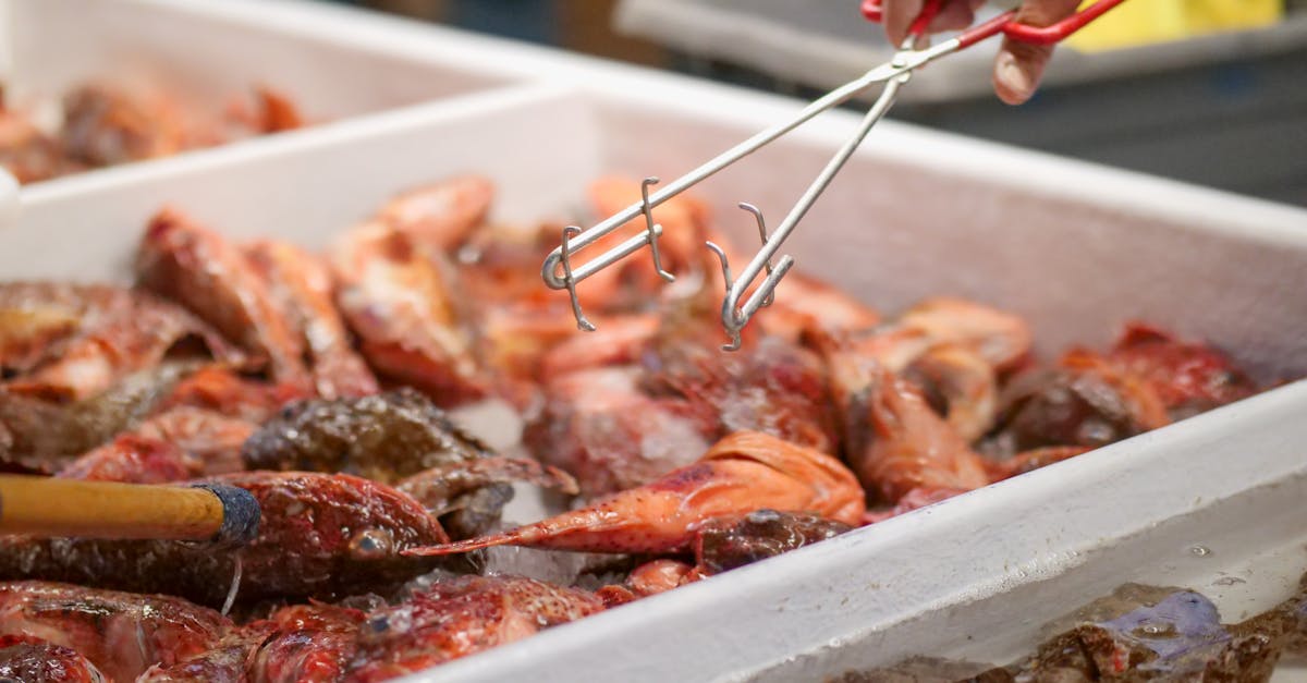 découvrez notre poissonnerie artisanale, où la fraîcheur et la qualité se rencontrent. nous vous proposons une large sélection de poissons et fruits de mer pêchés avec soin, accompagnés de conseils d'experts pour sublimer vos plats. plongez dans l'univers maritime et savourez le meilleur de la mer.