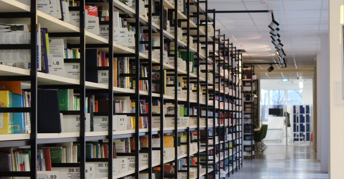 découvrez notre guide complet sur la gestion des stocks avec des conseils pratiques, des outils recommandés et des stratégies efficaces pour optimiser votre inventaire et améliorer la rentabilité de votre entreprise.