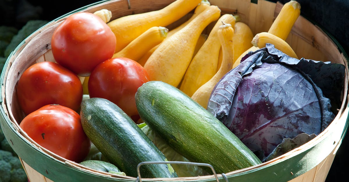 découvrez l'univers du jardinage maraîcher, une pratique qui allie passion et durabilité. apprenez à cultiver vos propres légumes, fruits et herbes aromatiques, tout en respectant l'environnement. que vous soyez débutant ou expert, explorez des conseils, des techniques et des inspirations pour réussir votre potager.