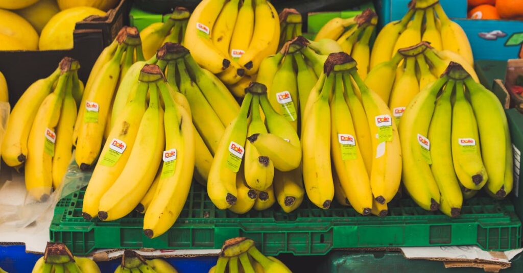 découvrez l'univers du maraîchage : des techniques de culture innovantes aux conseils pratiques pour cultiver vos propres légumes et fruits. transformez votre jardin en un verger productif tout en respectant l'environnement.