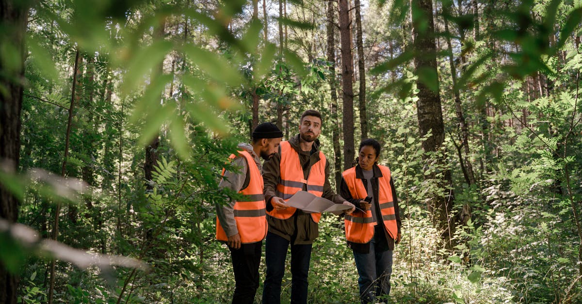 découvrez l'univers de l'arpentage, un domaine essentiel pour la mesure et la représentation des terrains. apprenez-en davantage sur les techniques, les instruments et les applications de cette discipline qui joue un rôle clé dans l'architecture, la construction et l'aménagement du territoire.