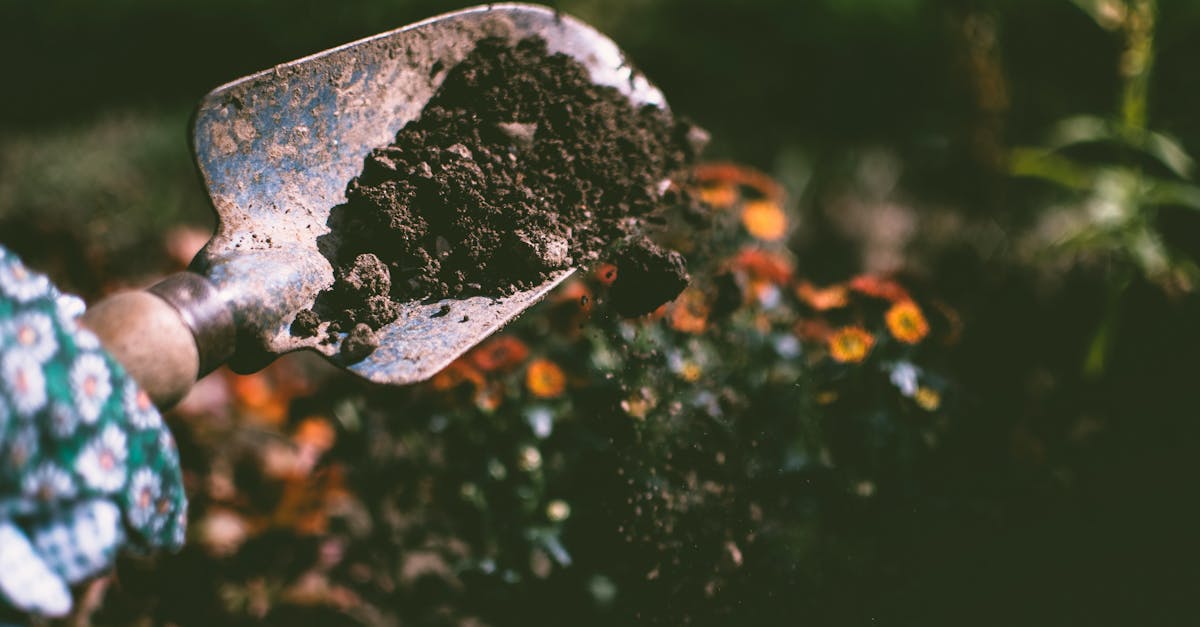 découvrez comment identifier et surmonter un environnement de travail toxique. apprenez les signes à repérer, les impacts sur votre bien-être et des conseils pratiques pour améliorer votre expérience professionnelle.