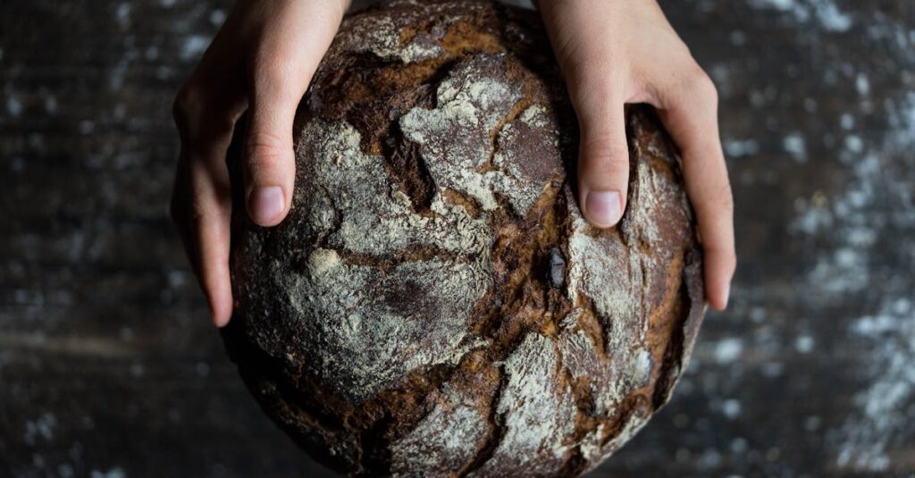 découvrez notre bakery, une boulangerie artisanale qui propose pains frais, viennoiseries dorées et pâtisseries maison, préparés chaque jour avec des ingrédients de qualité.