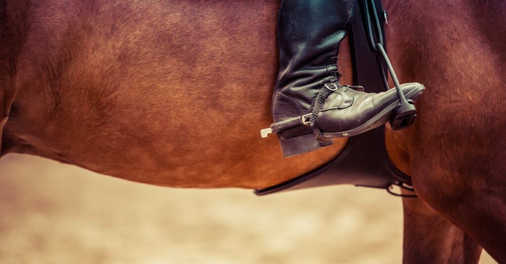 découvrez tout ce qu’il faut savoir sur la cavalerie : son histoire, ses rôles dans les armées, son évolution à travers les siècles et son importance aujourd’hui. plongez dans l’univers fascinant des cavaliers et de leurs montures.