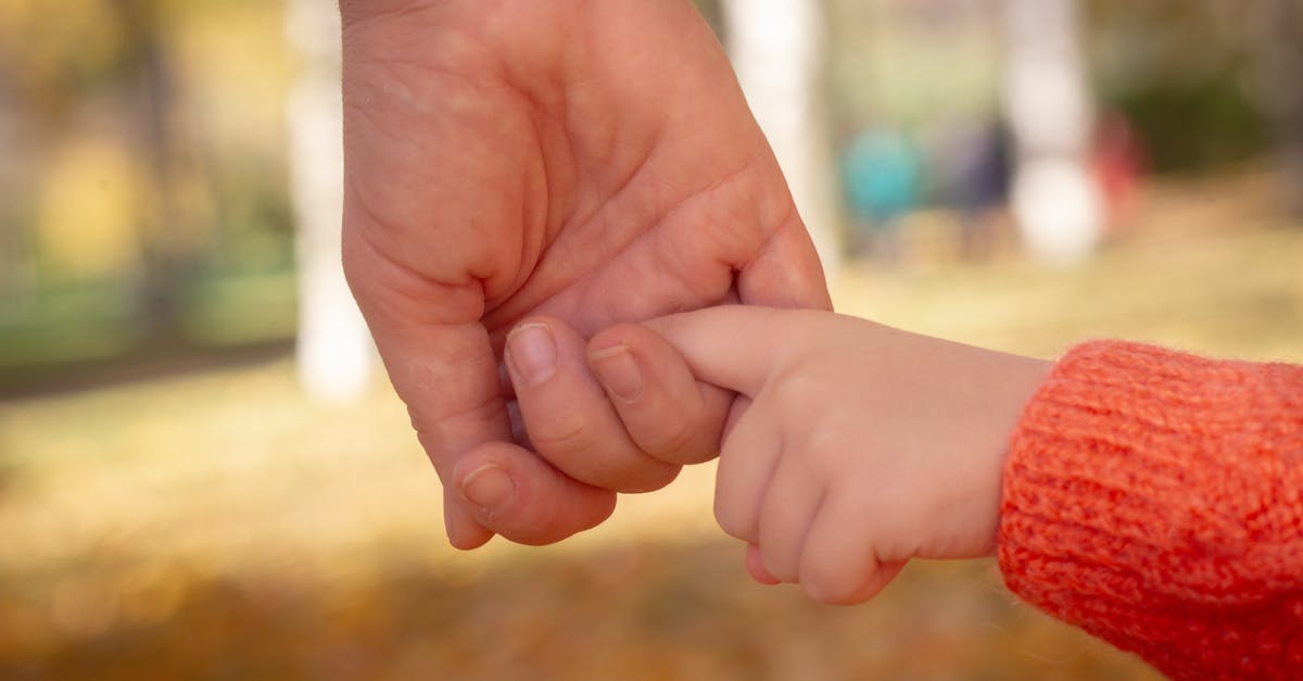 découvrez nos services de garde d'enfants en crèche : un environnement sécurisé, ludique et stimulant pour le développement et le bien-être de votre enfant. inscrivez-vous dès aujourd'hui !