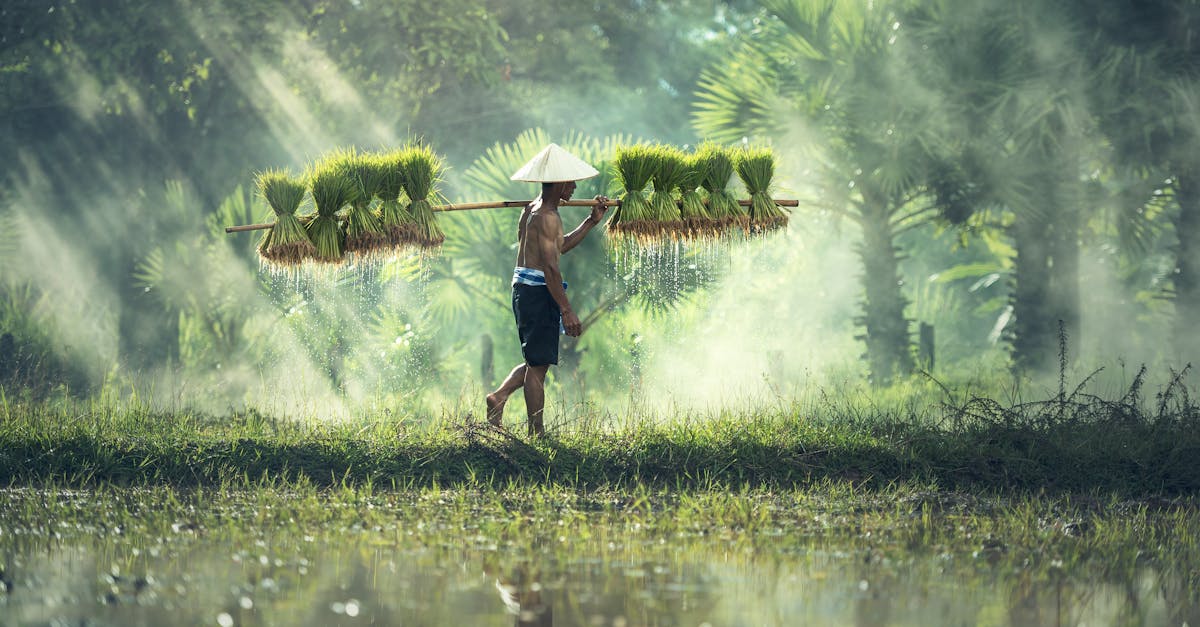 découvrez le métier de farmer : missions, compétences et quotidien de ces agriculteurs passionnés qui nourrissent le monde grâce à leur travail et leur savoir-faire.
