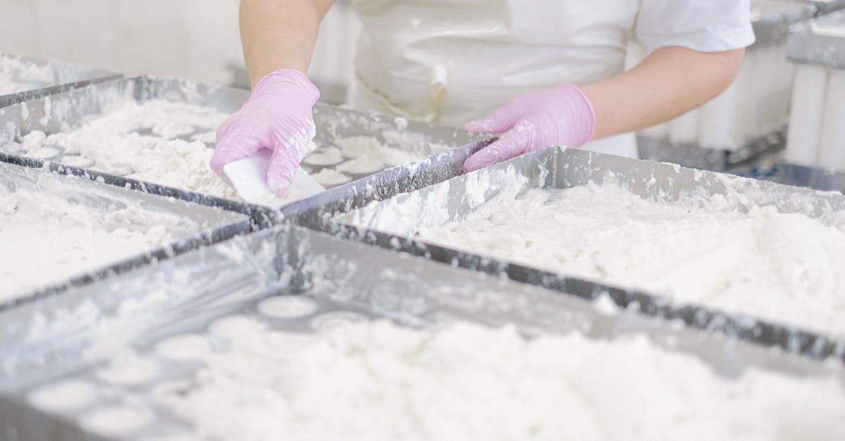 tout savoir sur la sécurité alimentaire: hygiène, prévention des contaminations, haccp et bonnes pratiques pour protéger consommateurs et entreprises.