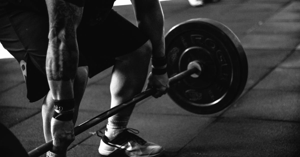 découvrez gym launch, la solution innovante pour développer et rentabiliser votre salle de sport. profitez de stratégies éprouvées pour attirer de nouveaux membres, augmenter vos revenus et optimiser la gestion de votre établissement.