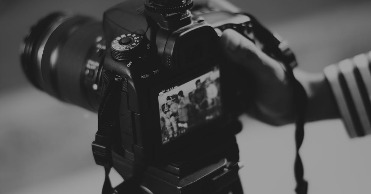 découvrez l’art de la photographie : conseils, techniques et inspirations pour capturer des moments uniques, développer votre créativité et maîtriser votre appareil photo.