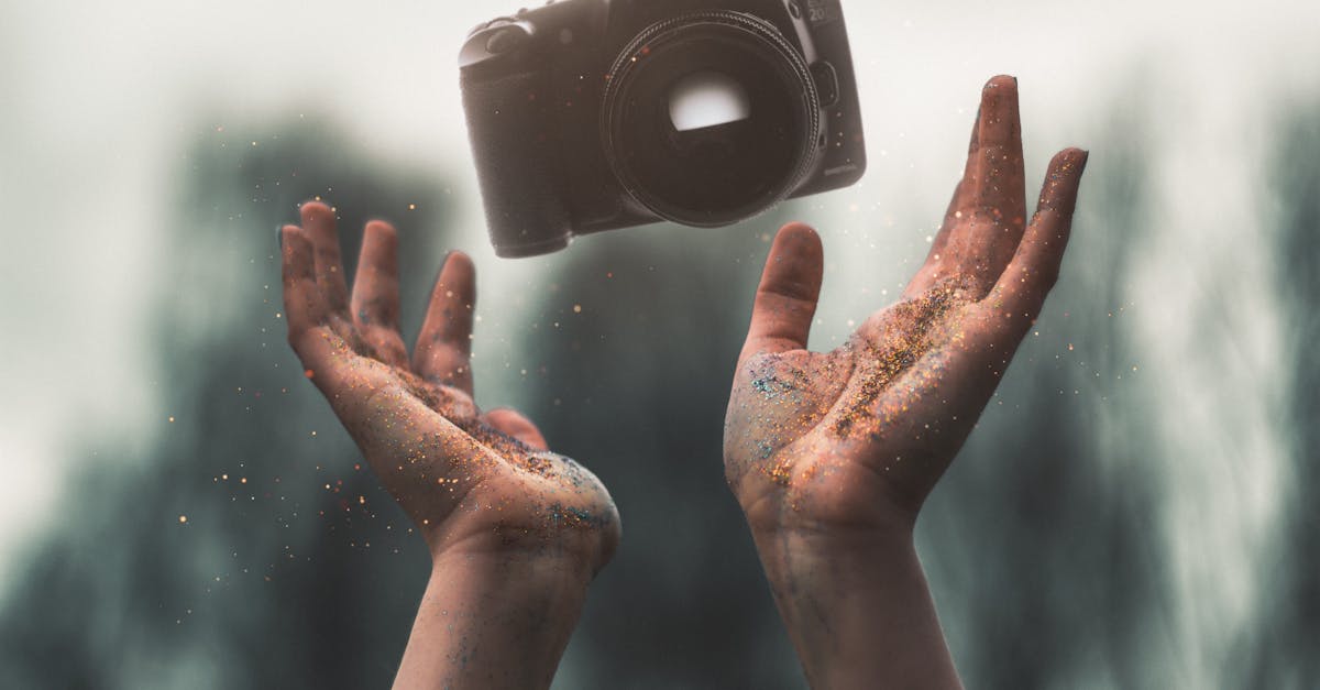 découvrez l'univers de la photographie : conseils, techniques et inspirations pour débutants et passionnés. améliorez vos compétences et capturez des images inoubliables.