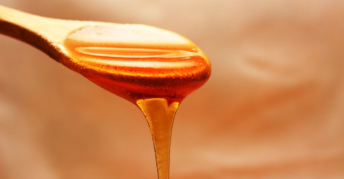découvrez l'apiculture : conseils, techniques et astuces pour débuter le beekeeping, entretenir vos ruches et préserver les abeilles tout en récoltant un miel naturel.