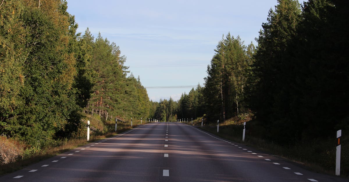 découvrez le métier de driving inspector : rôle, missions et compétences requises pour assurer le contrôle et la sécurité routière. informations sur la formation et les qualités à avoir.
