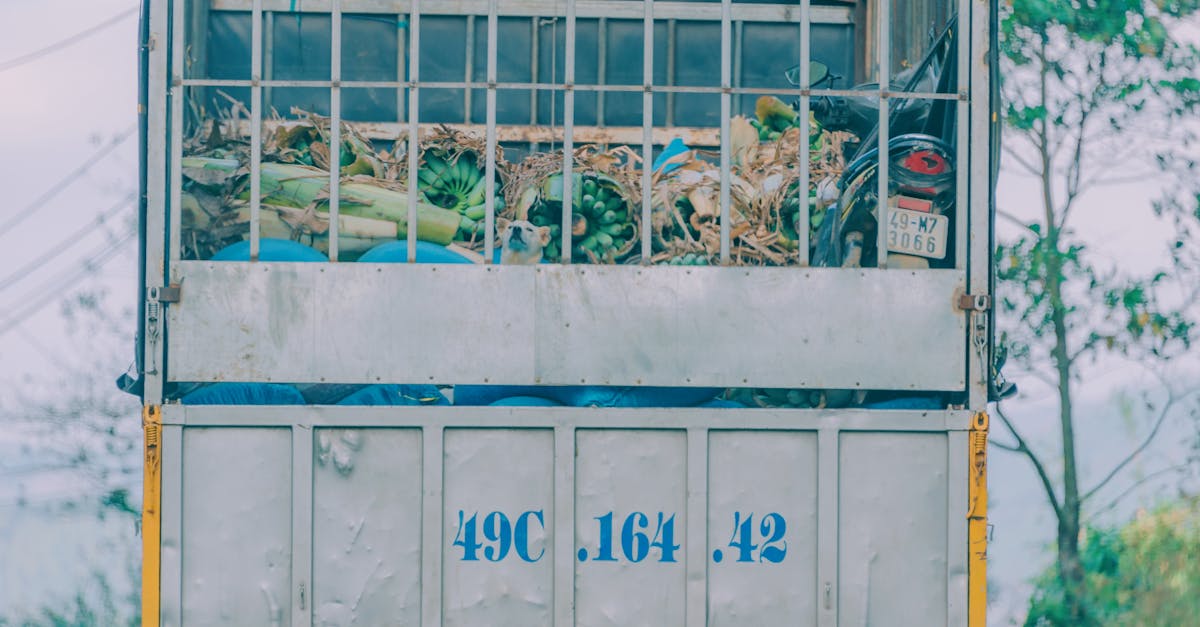 découvrez tout ce qu’il faut savoir sur la réglementation des food trucks en france : normes d’hygiène, autorisations, emplacement et obligations légales pour exercer en toute conformité.