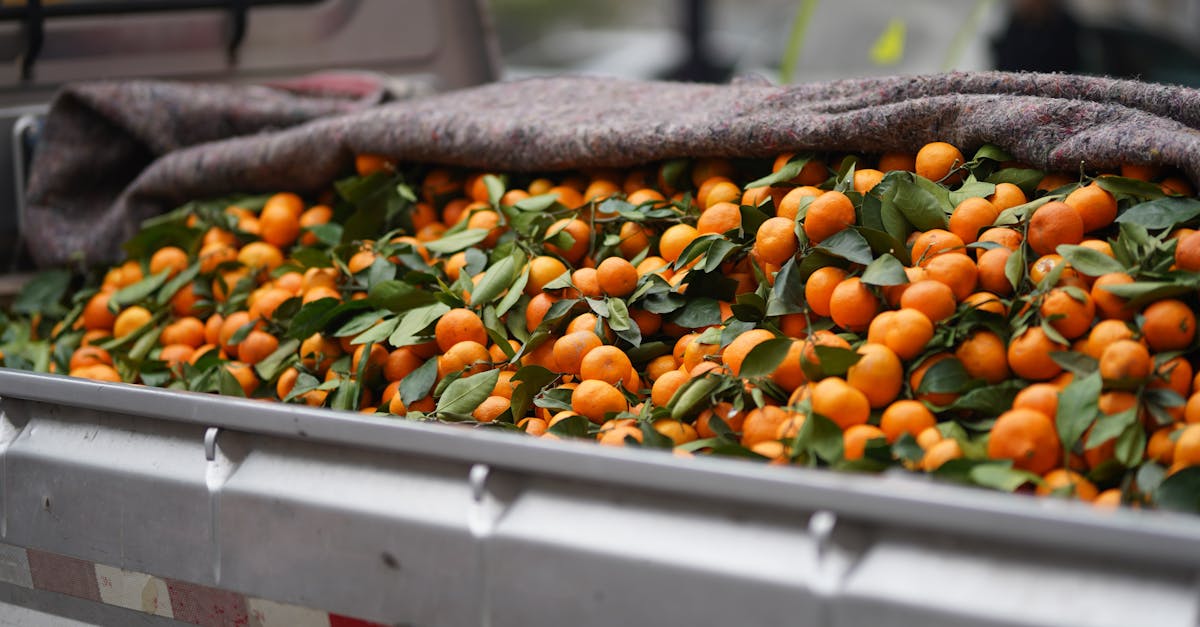 découvrez les principales réglementations à respecter pour ouvrir et gérer un food truck en france : normes d’hygiène, autorisations, emplacement, sécurité et obligations administratives.