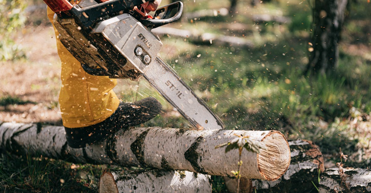 découvrez le métier de lumberjack, ou bûcheron, son histoire, ses outils, et son rôle essentiel dans l’industrie forestière. apprenez-en plus sur ce métier traditionnel et ses défis quotidiens.