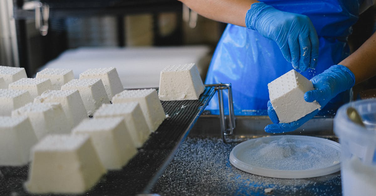 découvrez l'art du cheesemaking : conseils, techniques et recettes pour fabriquer facilement du fromage maison, du débutant à l'expert.