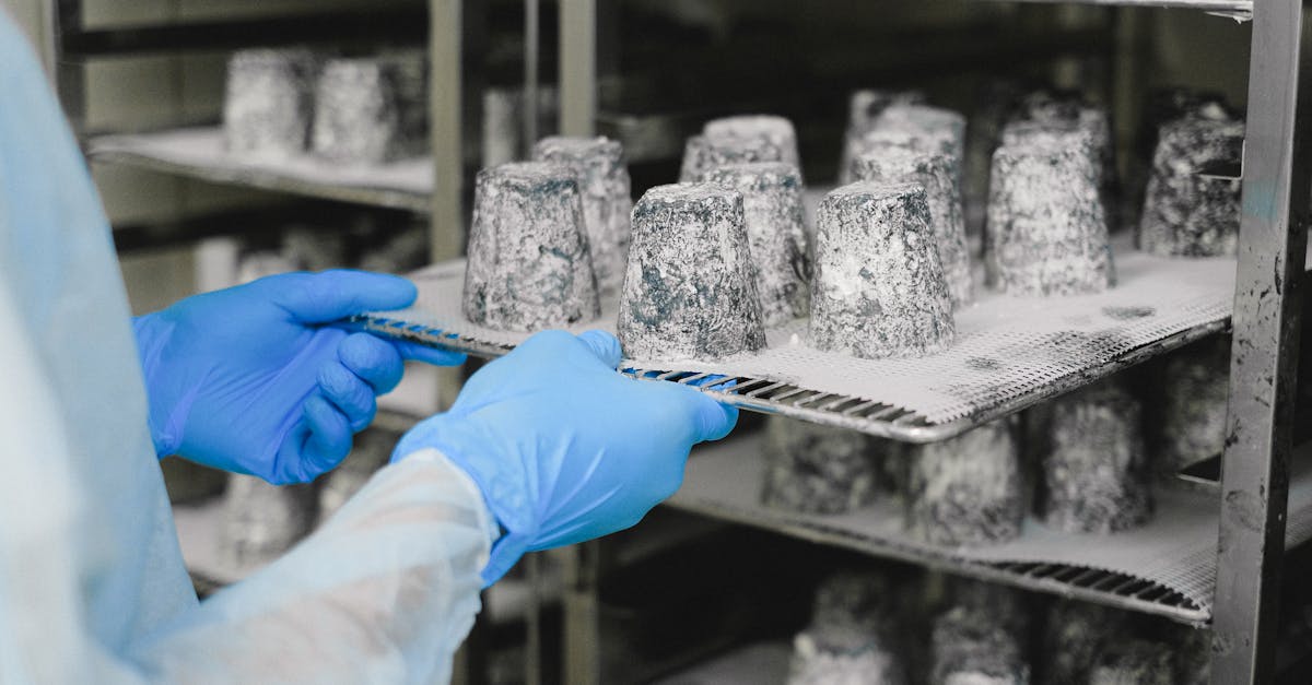 découvrez l'art de la fabrication du fromage : techniques traditionnelles, astuces pour débutants et recettes savoureuses pour réussir vos fromages maison.