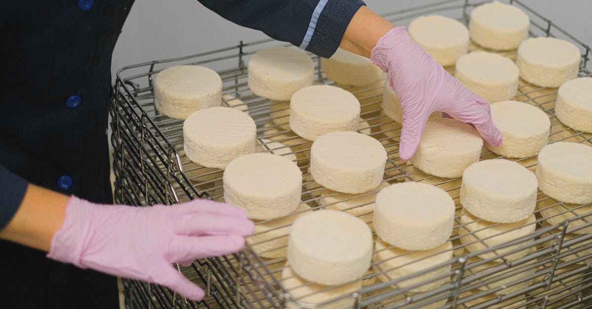 découvrez l'art du cheesemaking : techniques, ingrédients essentiels et conseils pratiques pour fabriquer facilement votre propre fromage maison. parfait pour les amateurs de cuisine et les passionnés de produits faits maison !