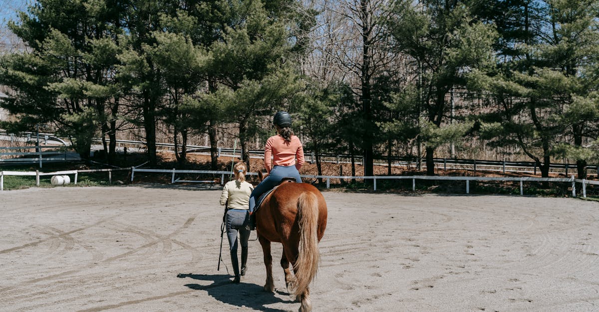 découvrez le métier passionnant d’instructeur équestre : formation, missions, compétences requises et conseils pour réussir dans l’enseignement de l’équitation à tout âge.