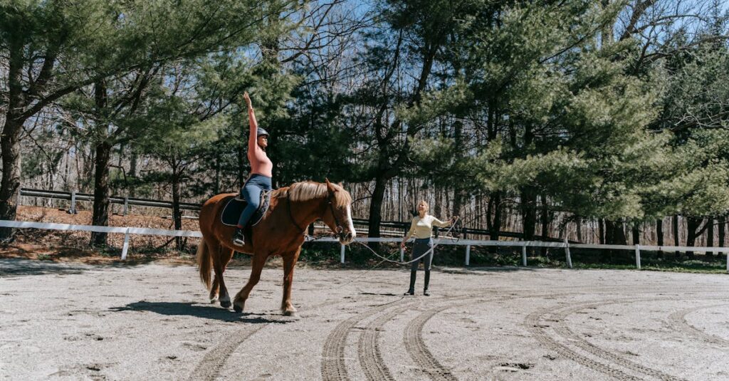 découvrez le métier de moniteur d’équitation : missions, compétences requises et formations pour devenir instructeur équestre et transmettre votre passion du cheval.