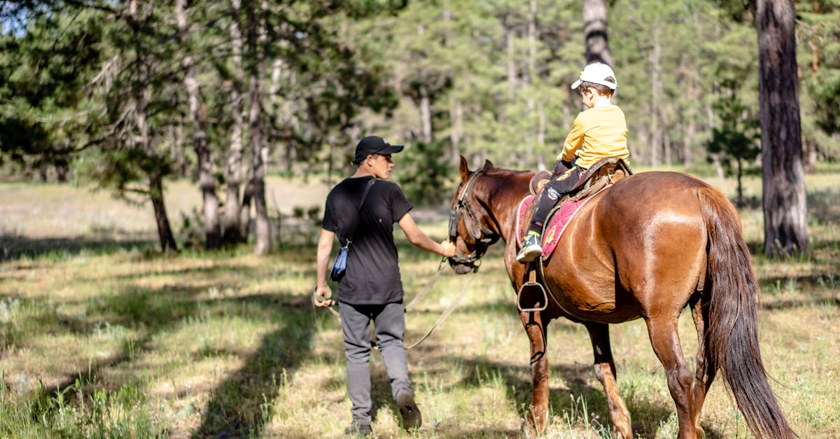 découvrez le métier de moniteur d'équitation : ses missions, les compétences requises, la formation nécessaire et les qualités indispensables. conseils pour devenir un instructeur équestre professionnel et passionné.
