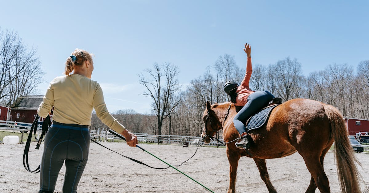 devenez cavalier expert grâce à un instructeur équestre qualifié. cours d'équitation personnalisés, conseils de progression et sécurité assurée pour tous niveaux.