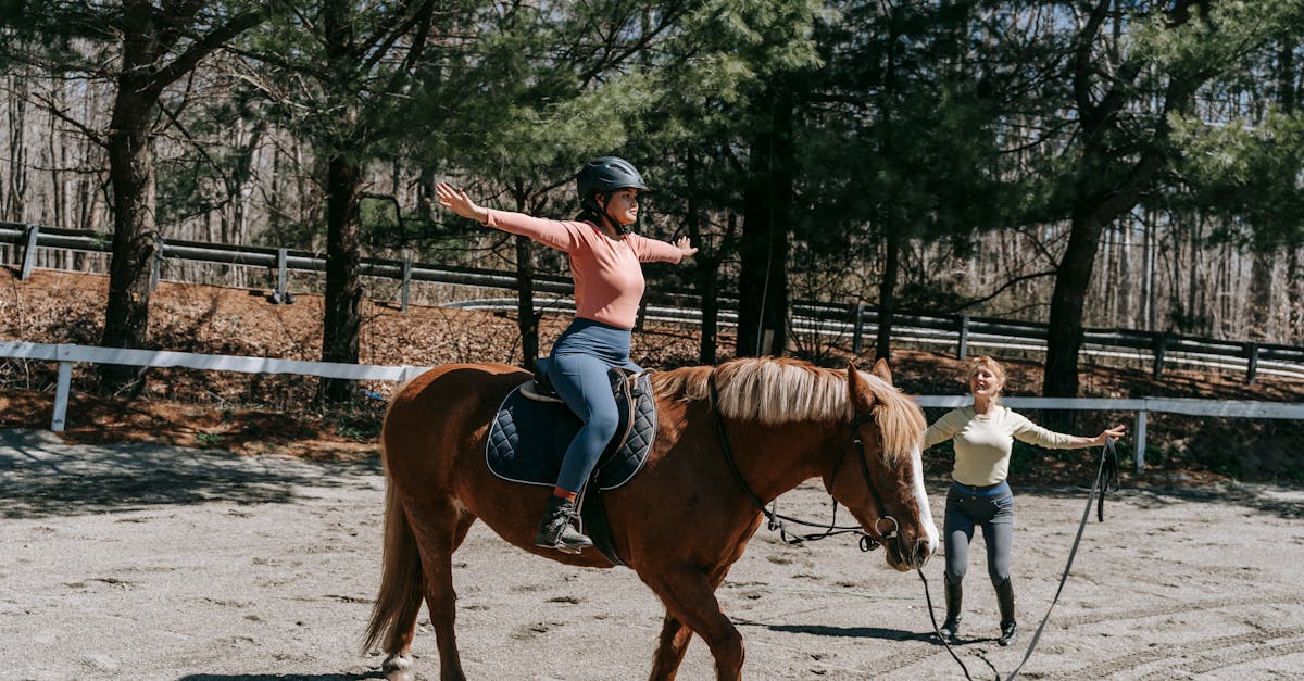 découvrez le métier d’instructeur équestre : formation, compétences requises et conseils pour enseigner l’équitation et transmettre la passion des chevaux à tous les niveaux.