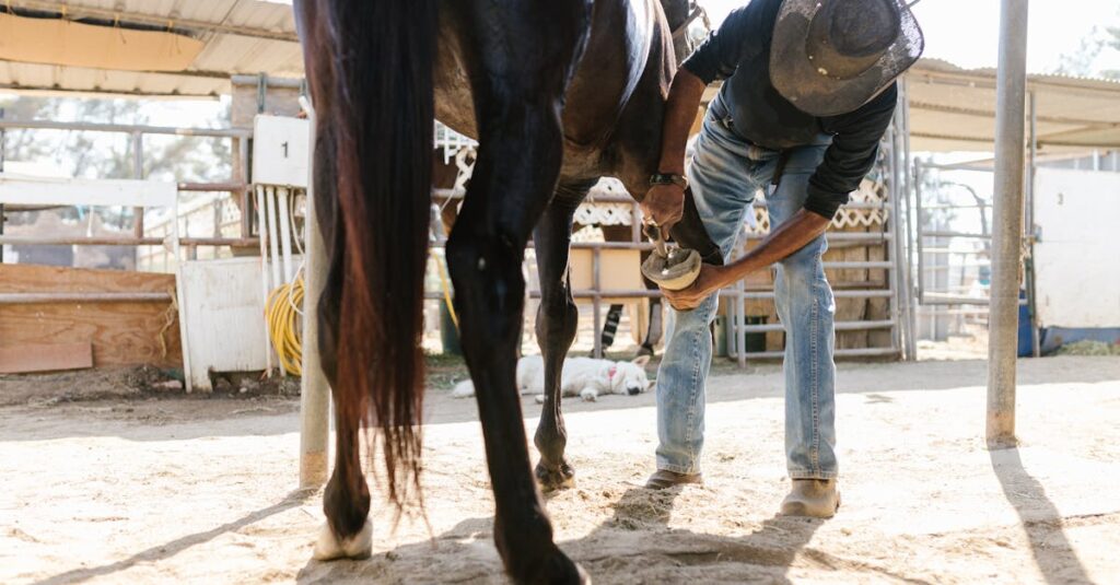 découvrez le métier de maréchal-ferrant, spécialiste du soin et de la ferrure des chevaux. apprenez-en plus sur ses compétences, son rôle essentiel et les outils utilisés pour garantir la santé et le confort des équidés.