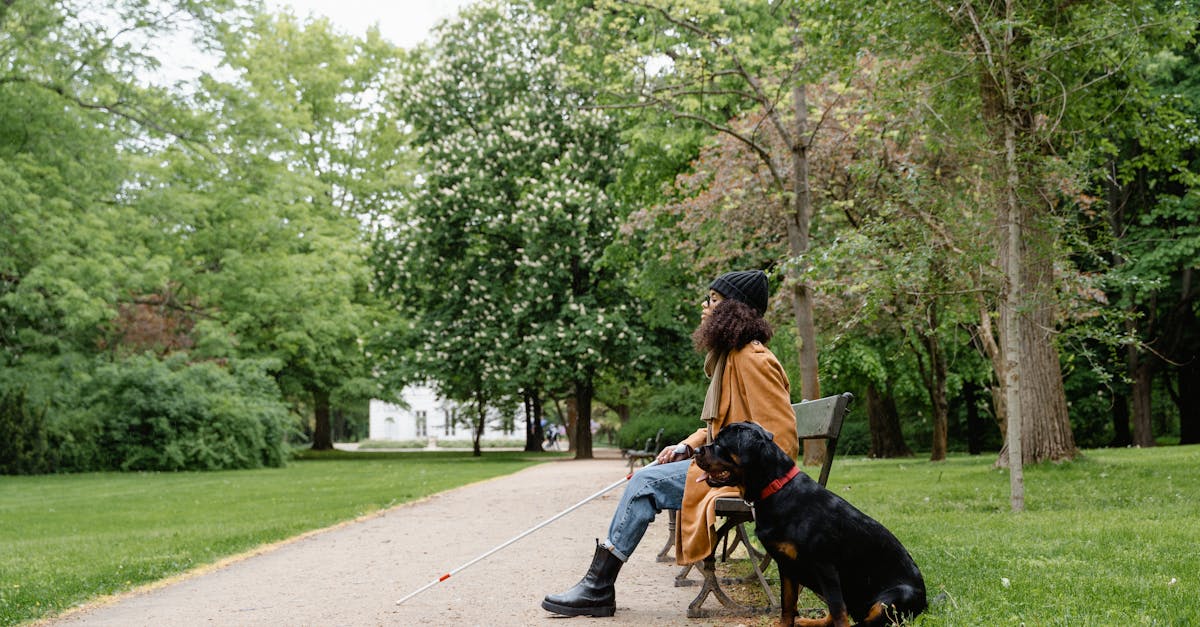 découvrez le métier d'éducateur de chiens-guides : missions, formations, compétences requises et conseils pour devenir un guide dog trainer en france.