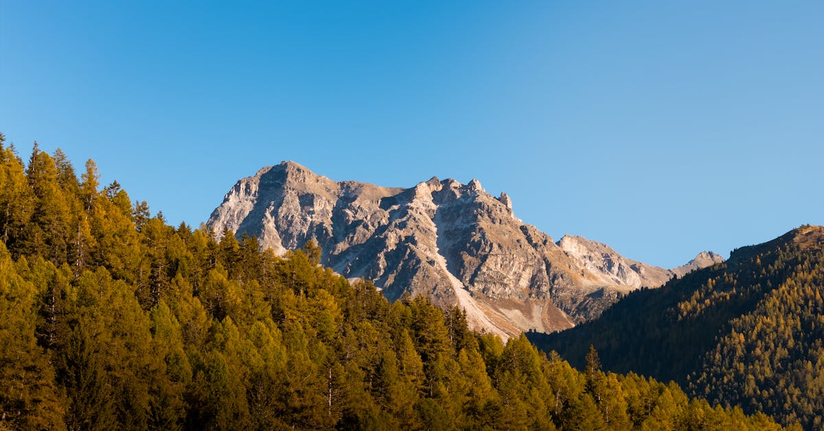 découvrez les responsabilités, missions et compétences clés associées à ce poste. explorez cette description de poste détaillée pour en savoir plus sur le rôle, les attentes de l’employeur et les perspectives d’évolution professionnelle.